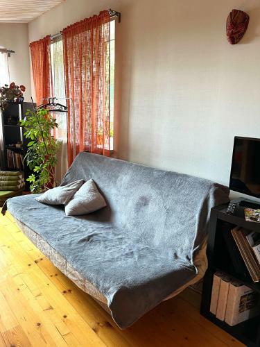 Studio Apartment And Free Airport Transfer