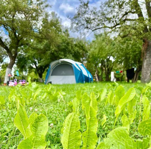 Heaven Camping Bran