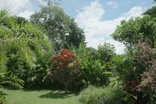 Casa Moes