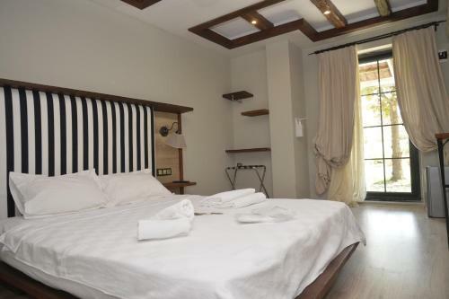 Hotel Aya Yorgi Lodge