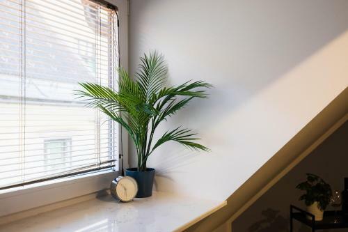 Apartamento New Central Studio With Free Parking