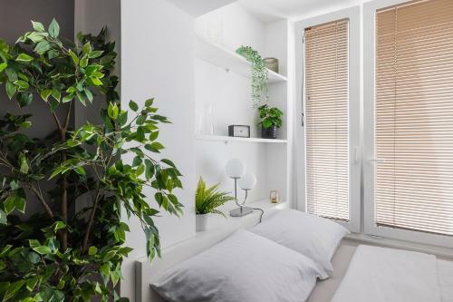 Apartamento New Central Studio With Free Parking