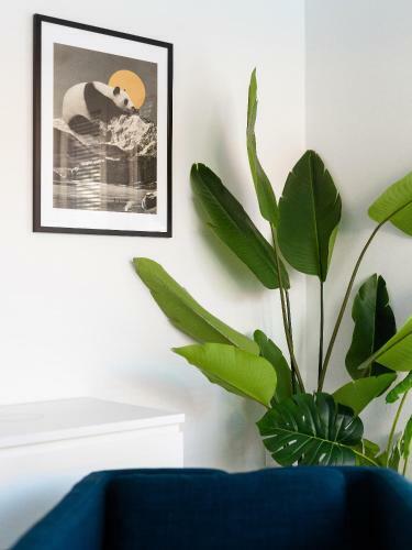 Apartamento New Central Studio With Free Parking