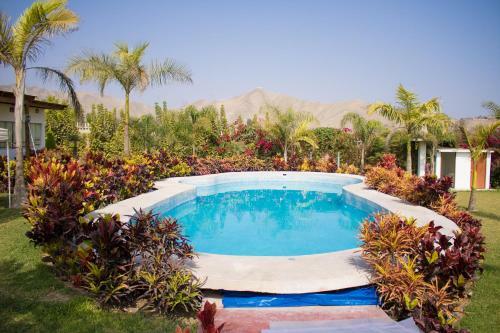 Finca Las Palmeras Para 25 Personas