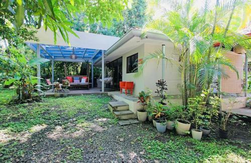 Casita Naranja Tropical Plants Many Birds And Squirrels
