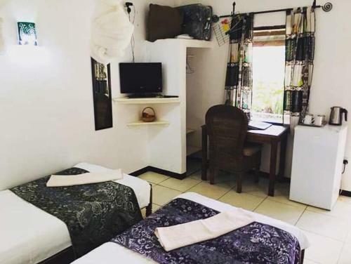 Hostal Green Tree Lodge