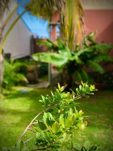 Villa R�ve D'oc�an
