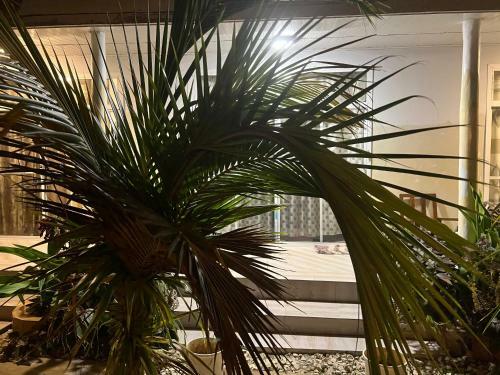 Bed & Breakfast Mafia Island Dindini Hotel
