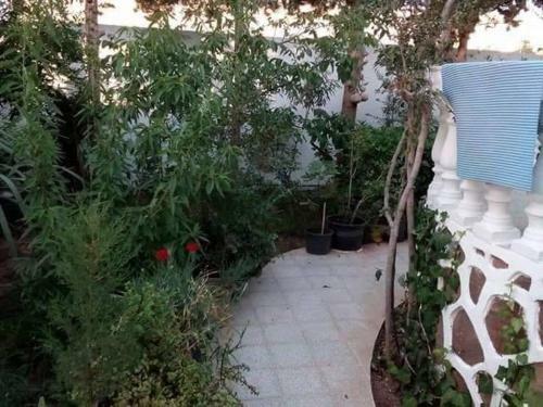 Apartamento Maison S+3 � K�libia