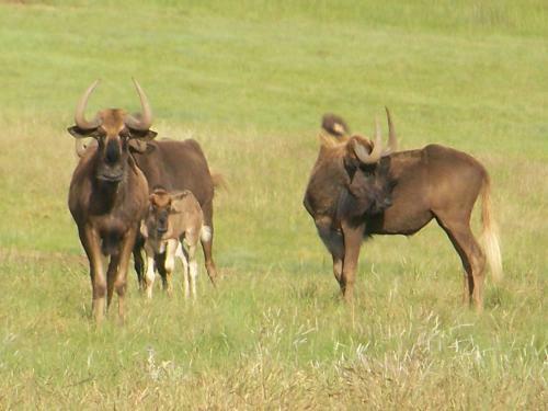 Apartamento Uitvlugt Ponds