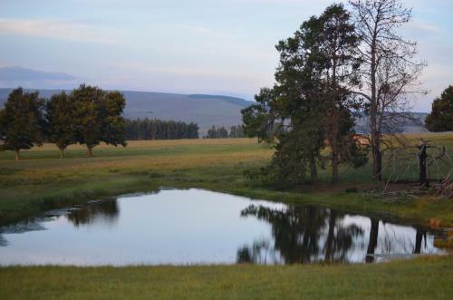 Apartamento Uitvlugt Ponds