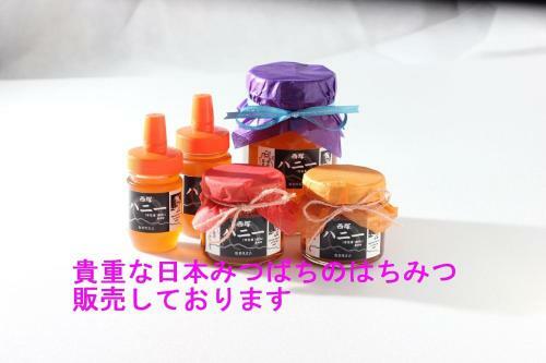 Hostal Guest House Mayuko No Yado - Vacation Stay 13253