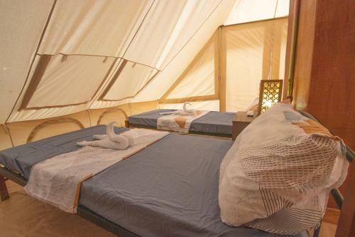 Lodge The Acacia Glamping Park