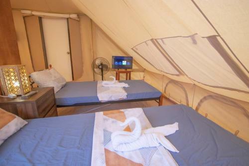 Lodge The Acacia Glamping Park