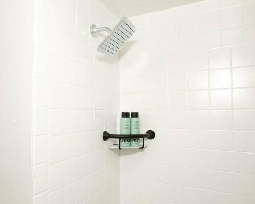 The Willa On 7th, Located In Downtown Bentonville!