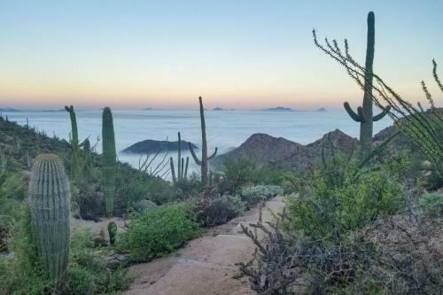 Tucson Natural 5br By Casago