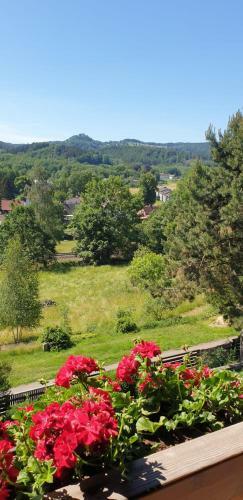 Hostal Apartm�ny Na V�slun� ?esk� ?v�carsko