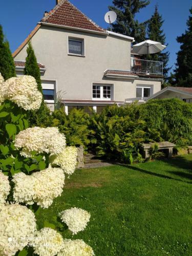 Apartamento Kreativ Ferienwohnung
