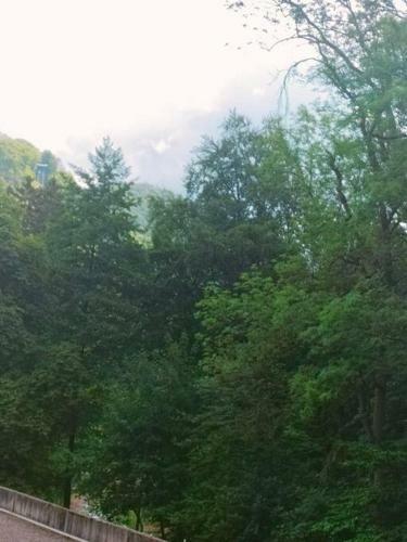 Apartamento Ferienwohnung Burgbergblick