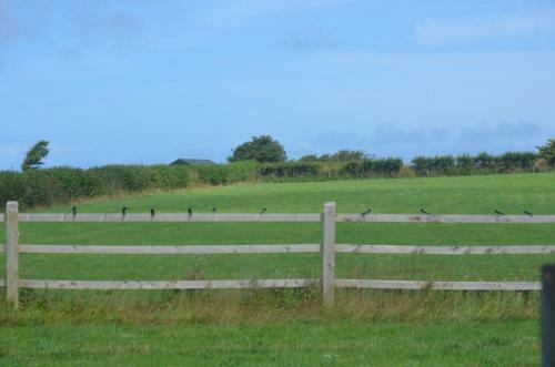 Bowood Cottage With Great Activities Barn