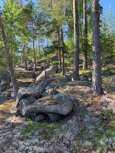 Hideaway Glamping