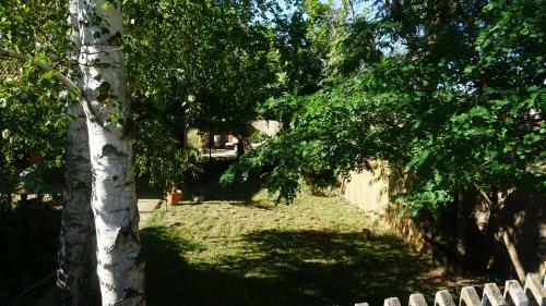 �des Otthon Apartman