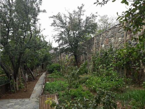 Hostal In My Georgian Family