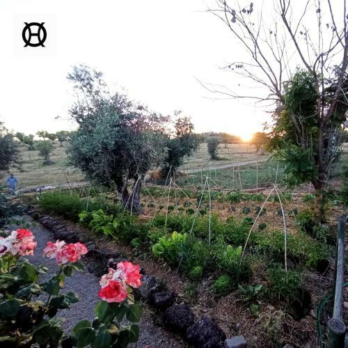 Agroturismo Herdade Da Ordem