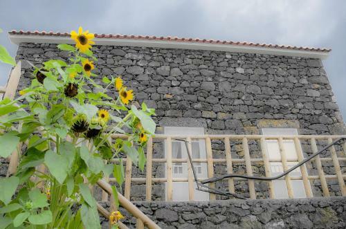 Stone Dreams - Pedra Da Atafona