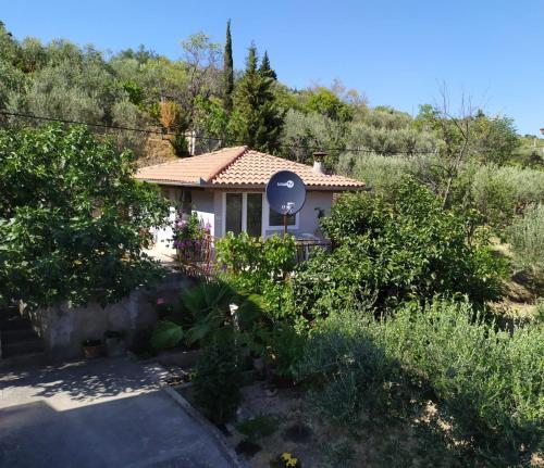 Lili House