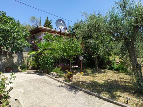 Lili House