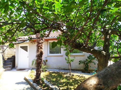 Lili House