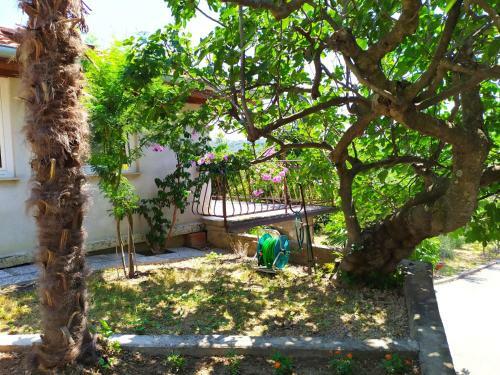 Lili House