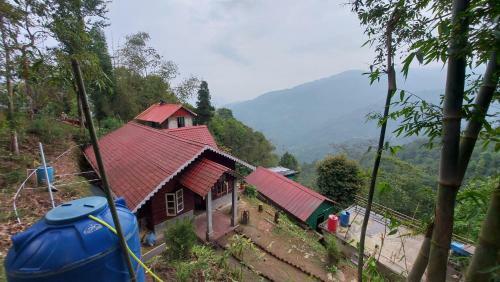 Canaan The Land Of Peace Risheehat