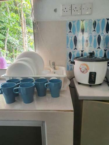 Homestay With Pool @ The Denai Langkawi