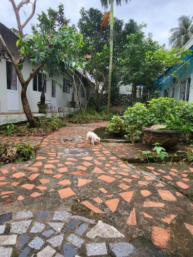 Bed & Breakfast Davi Hostel