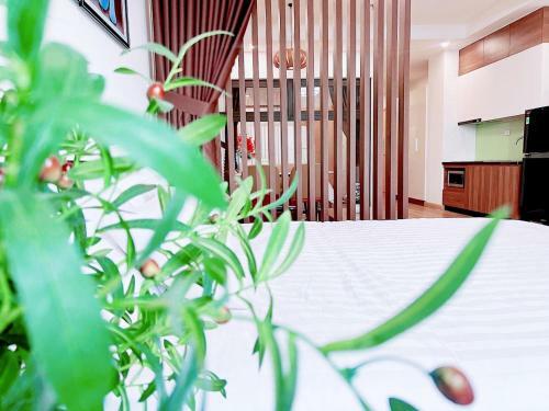 Trips Apartmen & Home Stay Quy Nh?n