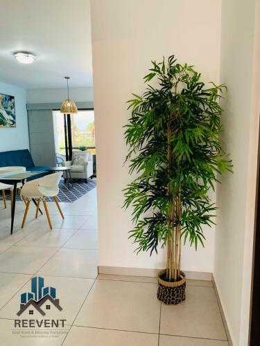 Apartamento Departamento De Playa Tortugas
