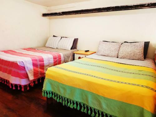 Apartamento Best Location In Oaxaca - Beautiful Garden