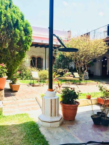 Apartamento Best Location In Oaxaca - Beautiful Garden