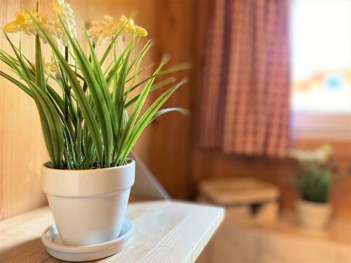 Uriges Chalet Auf �ber 1250m +dampfbad +netflix!
