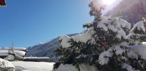 Apartamento Ferienhaus Alfenz