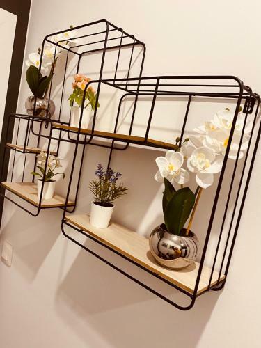 Suite Jacuzzi 126