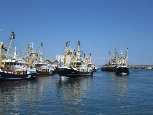 A Modern And Cosy Apartment Just Yards From Brixham?s Bustling Harbourside