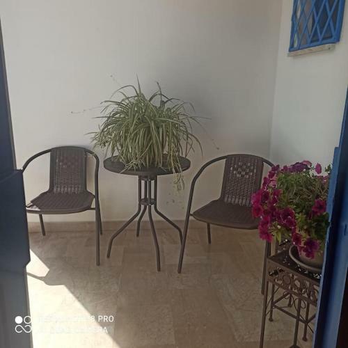 Apartamento Haiku Home