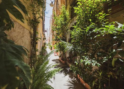 Appartamento Agave - Quartiere Castello