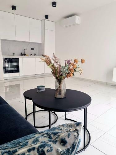 Luxury Boksok Apartment Near The Center