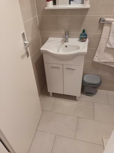 Apartment Penthouse Franci