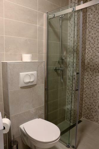 Apartment Penthouse Franci