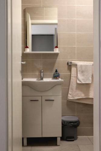 Apartment Penthouse Franci